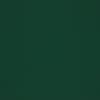 Solid dark green surface filling the frame, uniformly colored and featureless, acting as a flat background under even, low lighting with no visible objects, edges, or texture.
