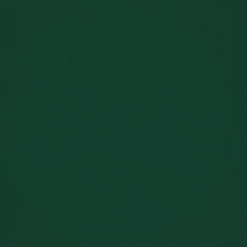Solid dark green surface filling the frame, uniformly colored and featureless, acting as a flat background under even, low lighting with no visible objects, edges, or texture.