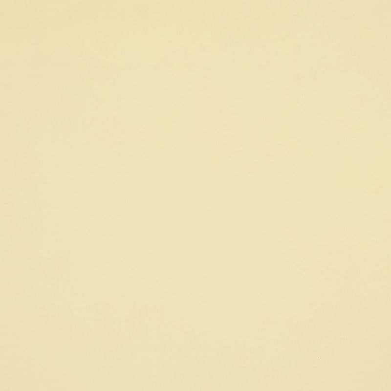 A plain cream-colored wall fills the frame, showing a smooth, slightly textured surface that uniformly reflects soft, diffuse light in a minimally furnished, neutral-lit interior.