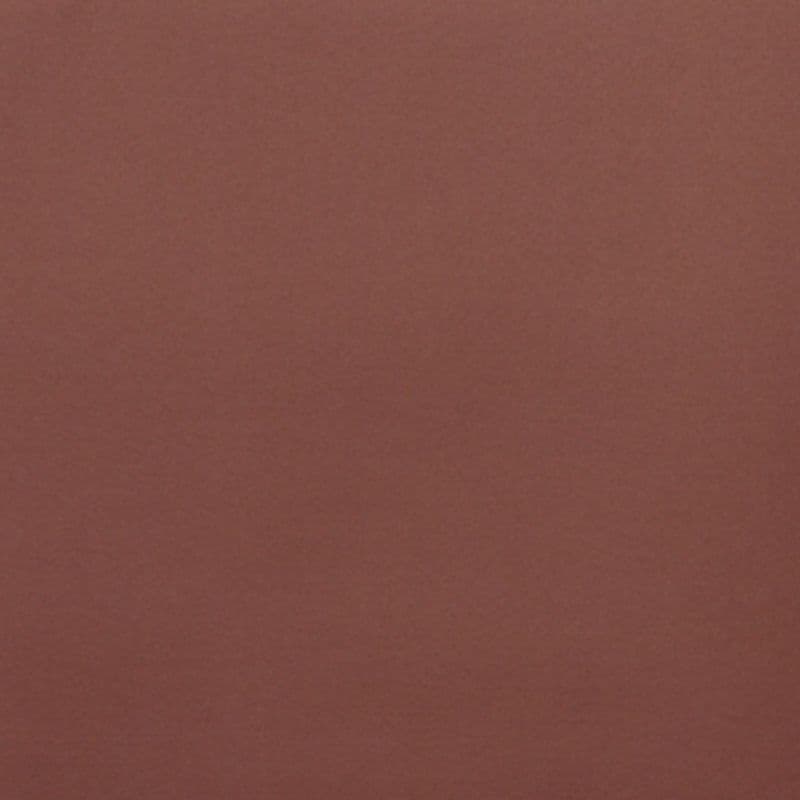 Plain reddish-brown painted wall, smooth and slightly textured — filling the frame, evenly lit with soft diffuse light, no visible fixtures or windows, uniform color across the surface.
