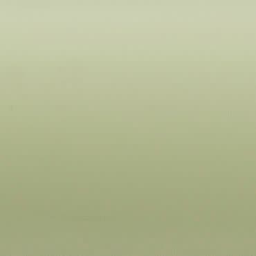 Smooth pale sage-green wall filling the frame, evenly lit and unadorned, serving as a neutral background with soft diffuse lighting and no visible architectural details or furnishings.