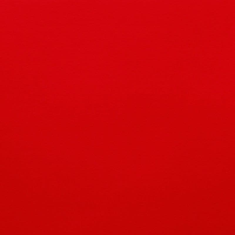 Large solid red surface, uniformly colored and filling the frame, acting as a minimal, featureless backdrop under even, neutral lighting.