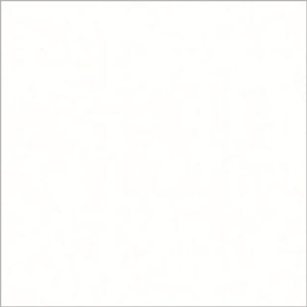 Blank white square with a thin gray border — occupying the frame, displaying no markings — evenly lit neutral background with soft shadows suggesting a flat surface.