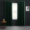 Dark green grommet-top curtains hang on a metal rod, parted to reveal bright daylight through the window; set against dark walls with a wooden side table and abstract framed art.